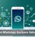 AI Makes WhatsApp Business Setup Easier